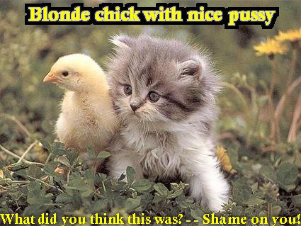 BlondeChickPussy