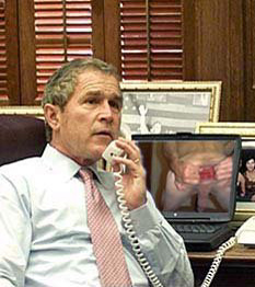 bush