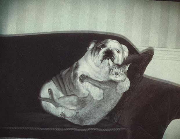 caught_in_the_act