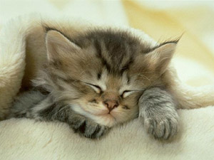 cute