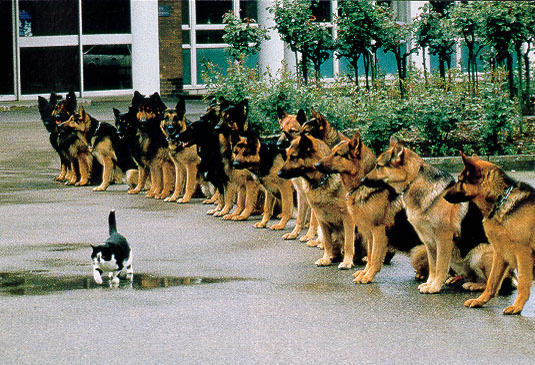 self_Confidence