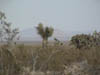 DSC00151