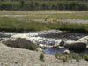 DSC00155
