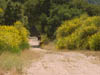DSC00374