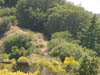 DSC00376