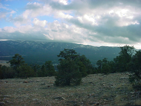 view