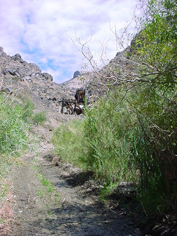 DSC00554