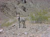 DSC00560
