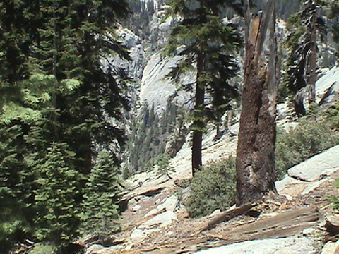 DSC00089