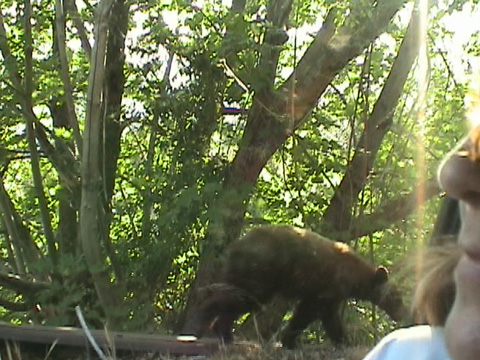 teenbear9