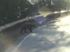 teenbear3