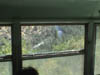 DSC00218