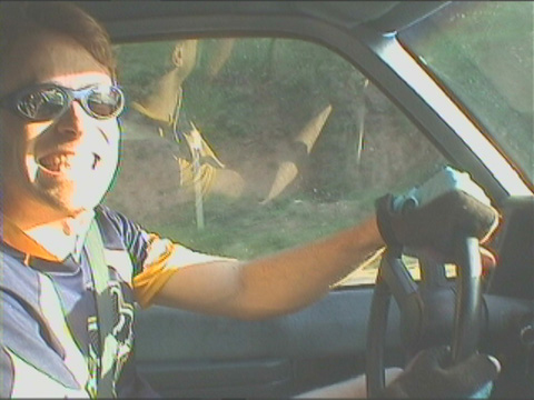 1aaacruisin