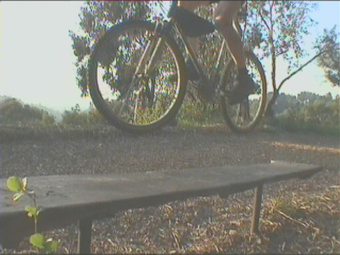 bench4