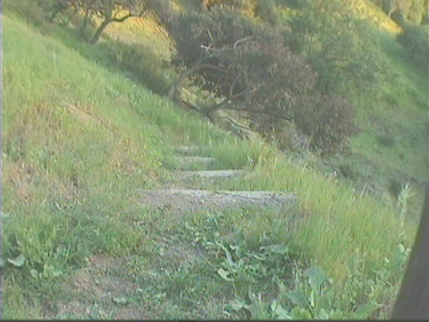 bouncetrail