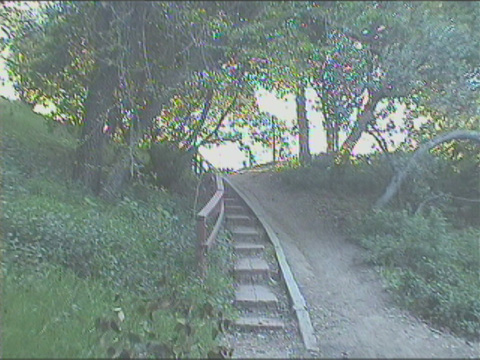 haulintrail