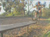 bench