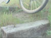 bouncingup4