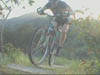 bouncingup7