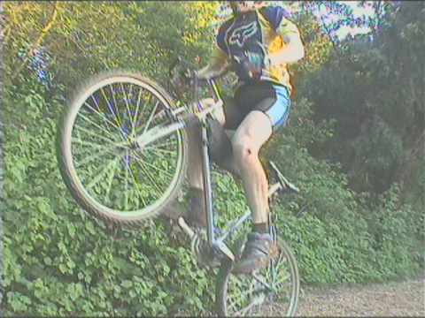 pogo3