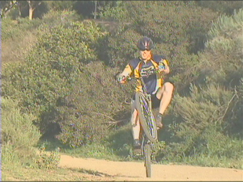 wheely