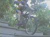 shotdown1
