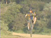 wheely